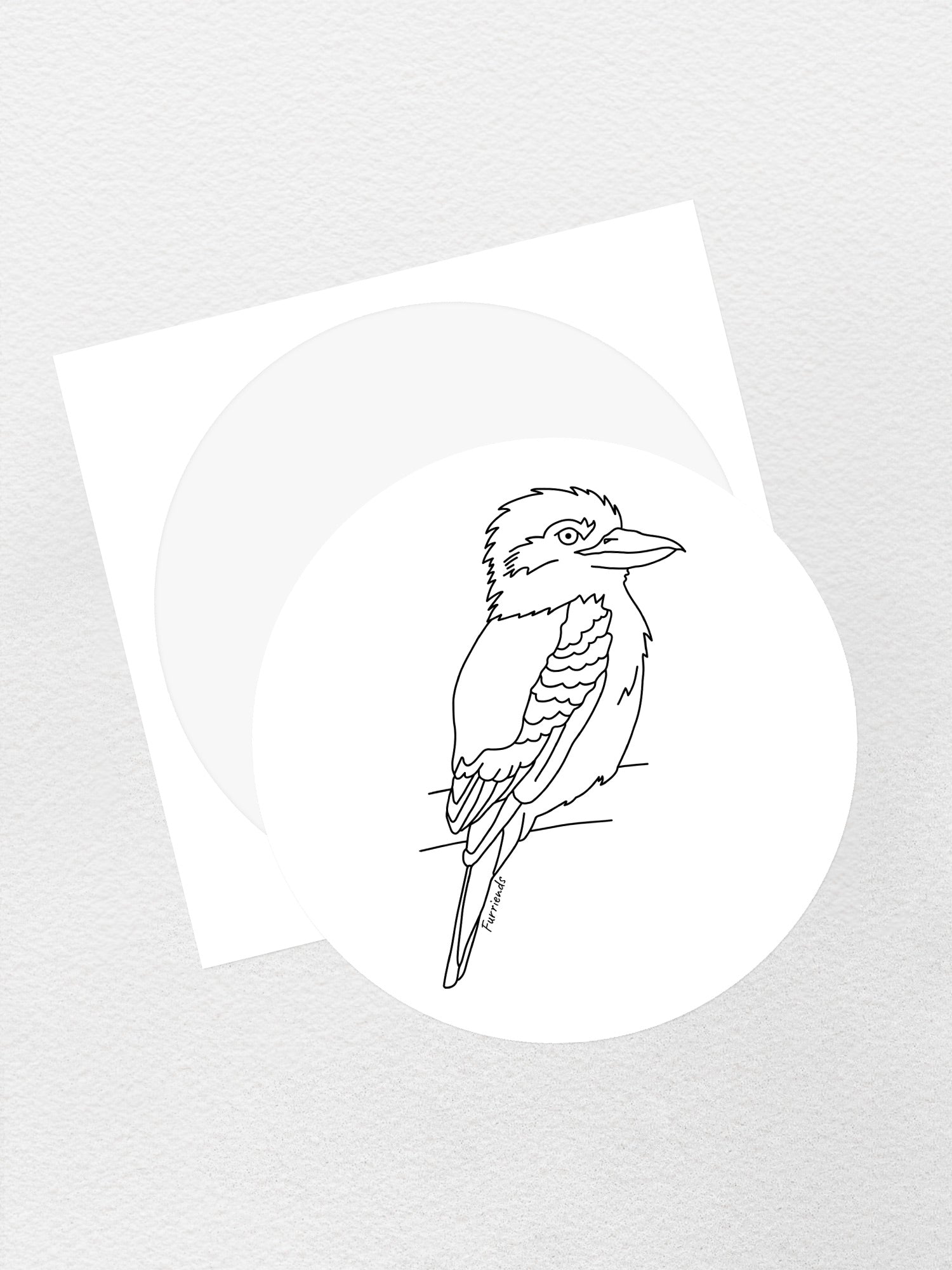 Kookaburra Sticker