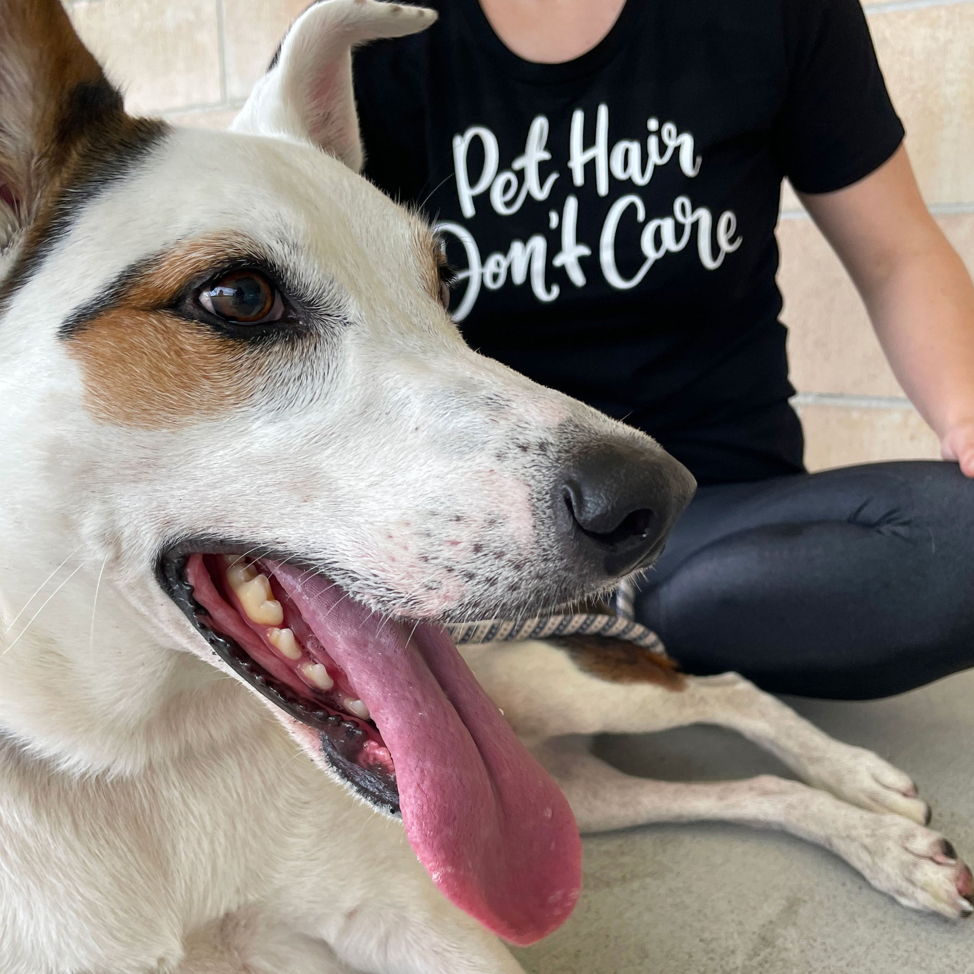 Why do people wear t-shirts about their dog?