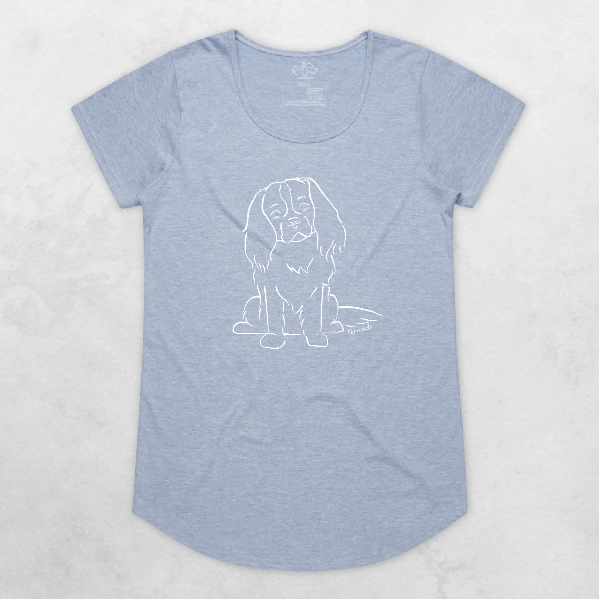 Cavalier King Charles Spaniel Remi Women's Scoop Neck T-Shirt
