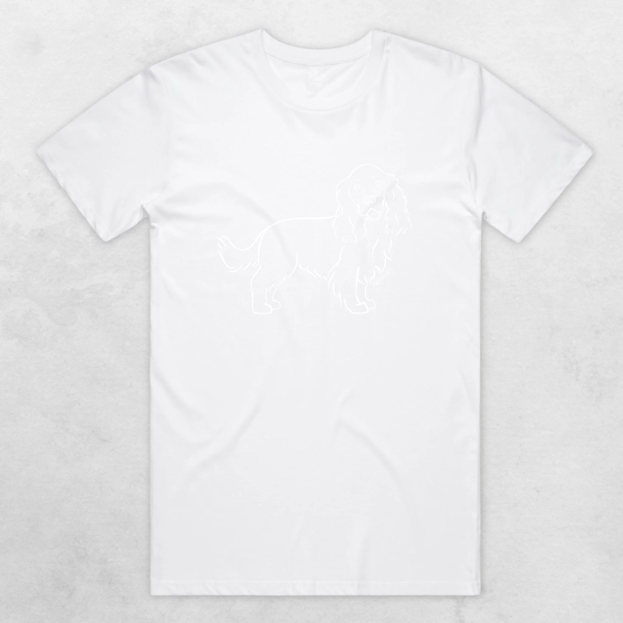 TIB-Essential-Background-White-Front