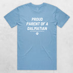 TIB-Essential-Background-Carolina-Blue-Front