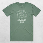 TIB-Essential-Background-Sage-Front