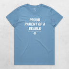 TIB-Ava-Background-Carolina-Blue-Front