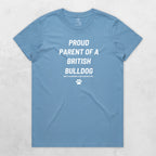 TIB-Ava-Background-Carolina-Blue-Front