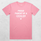 TIB-Essential-Background-Bubblegum-Front