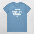 TIB-Ava-Background-Carolina-Blue-Front