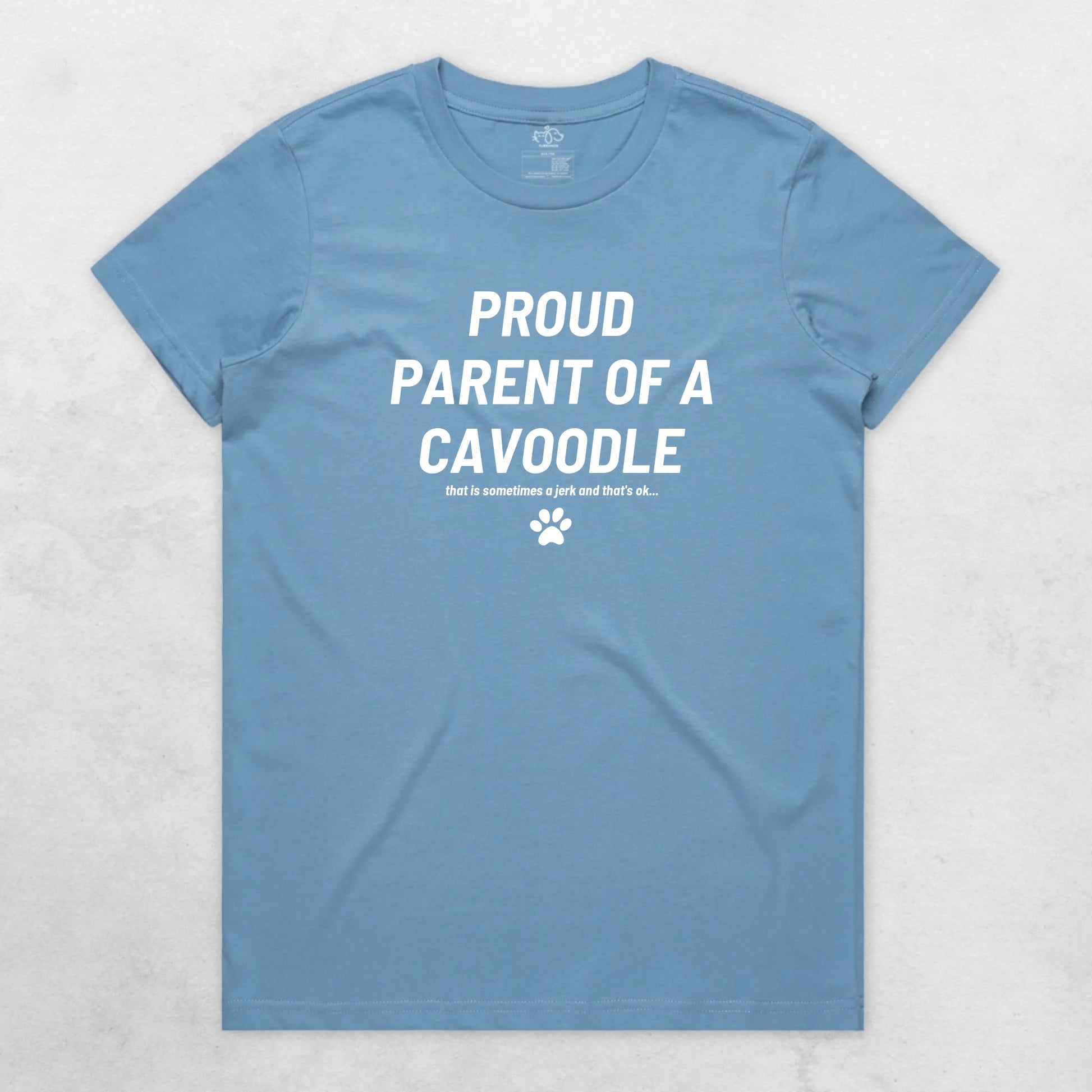 TIB-Ava-Background-Carolina-Blue-Front