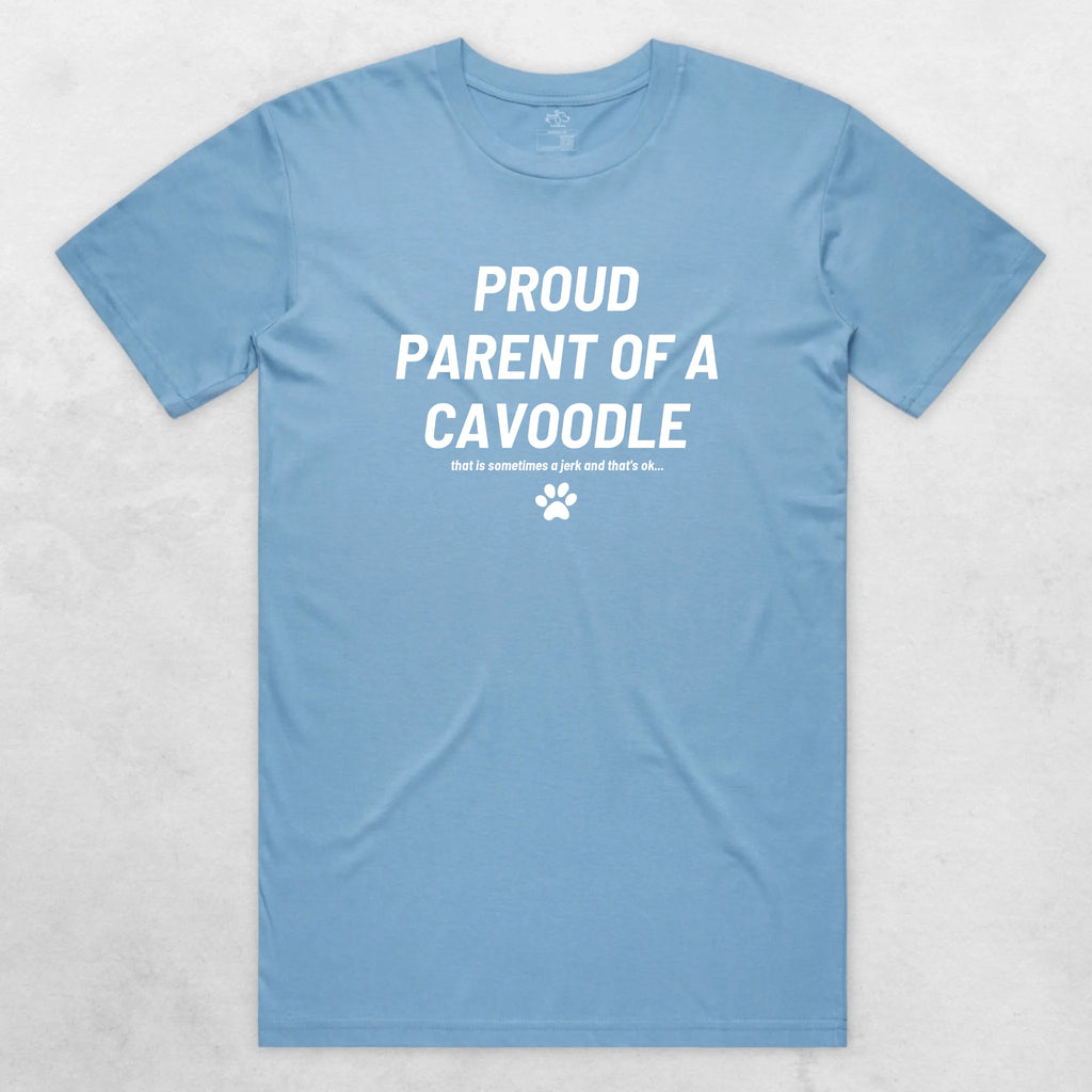 TIB-Essential-Background-Carolina-Blue-Front