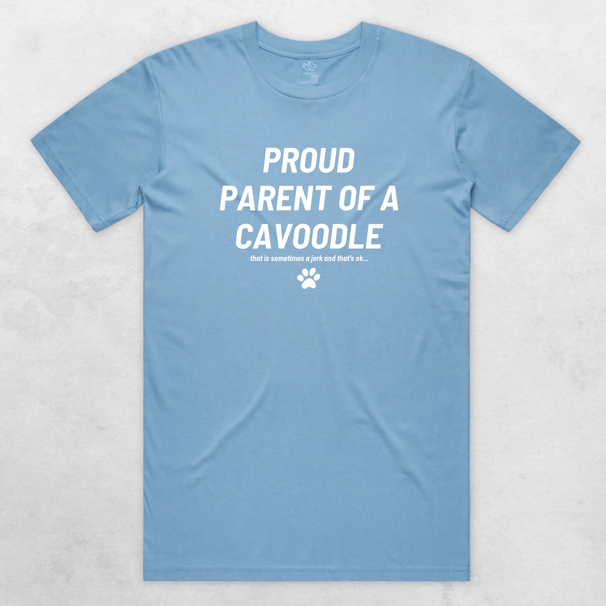 TIB-Essential-Background-Carolina-Blue-Front