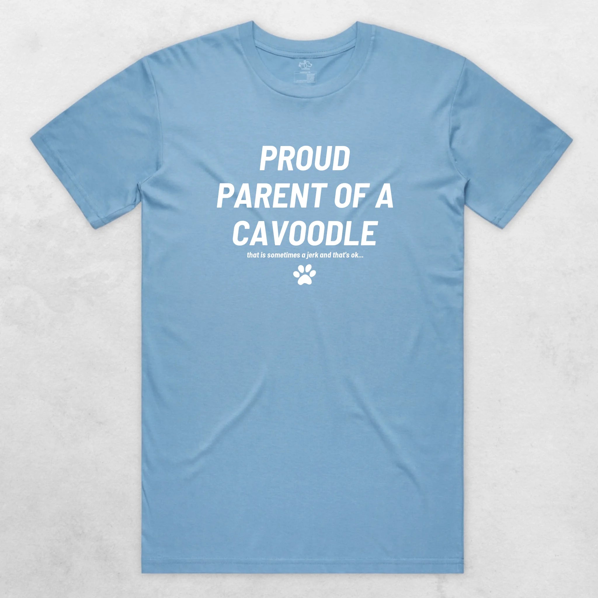 TIB-Essential-Background-Carolina-Blue-Front