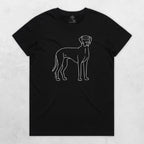 TIB-Ava-Background-Black-Front