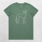 TIB-Ava-Background-Sage-Front