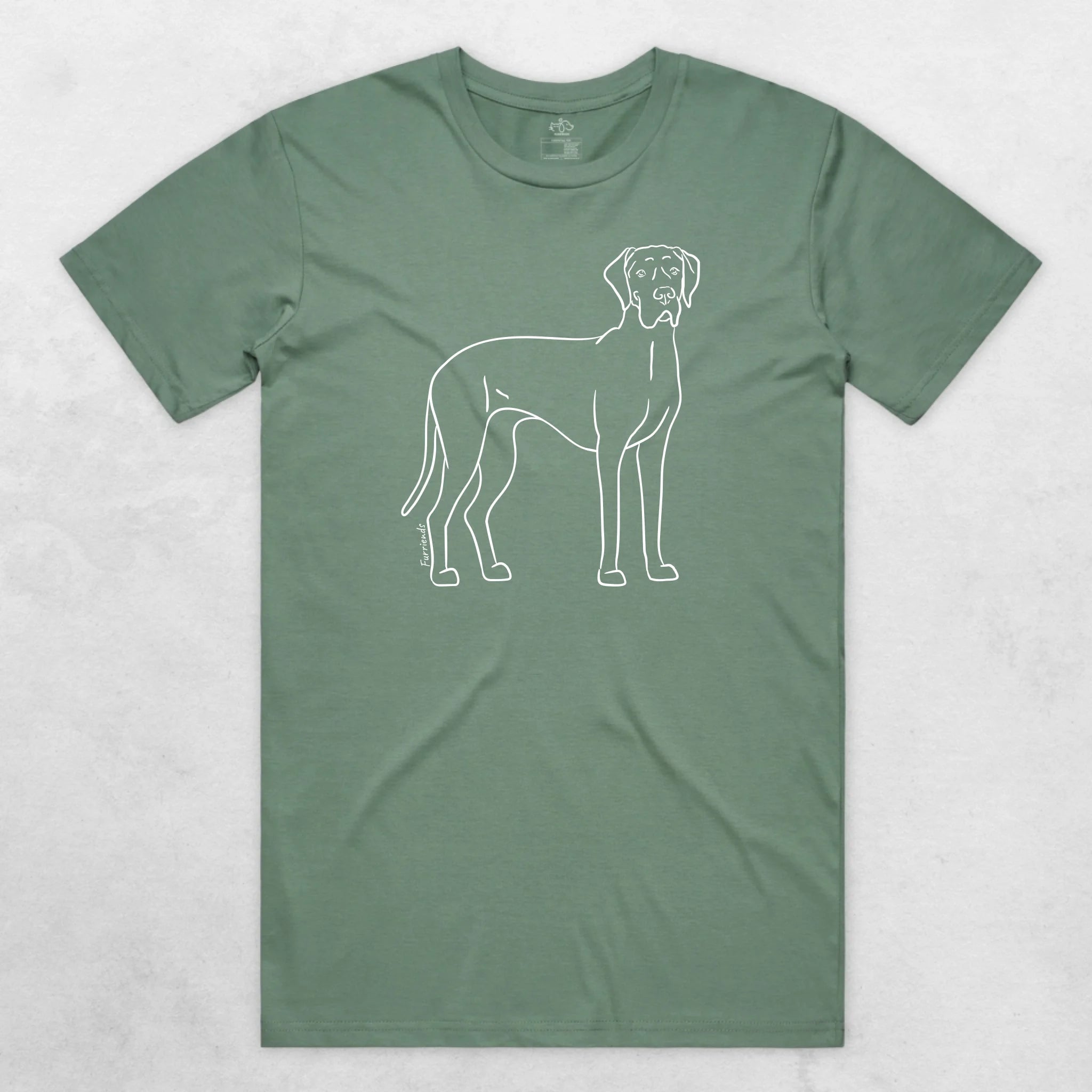 TIB-Essential-Background-Sage-Front