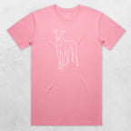 TIB-Essential-Background-Bubblegum-Front