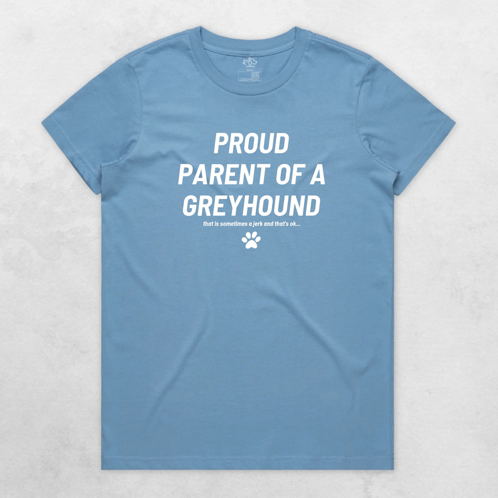 TIB-Ava-Background-Carolina-Blue-Front