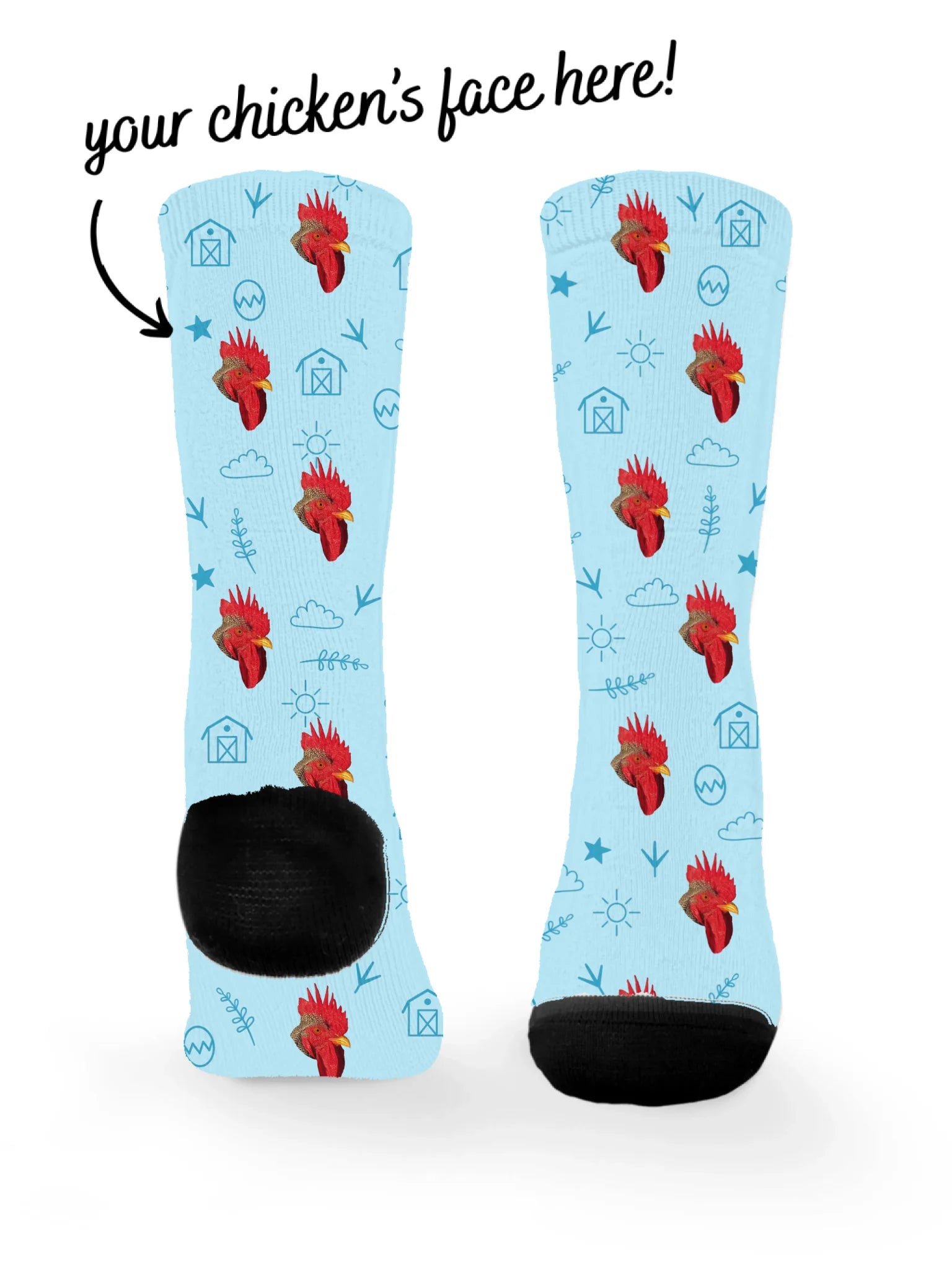 blank-dress-sock-TIB-base