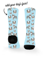 blank-dress-sock-TIB-base