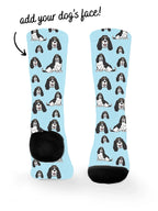 blank-dress-sock-TIB-base