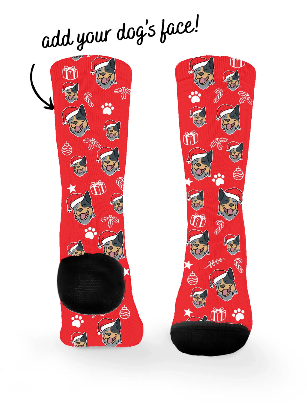 blank-dress-sock-TIB-base