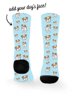 blank-dress-sock-TIB-base