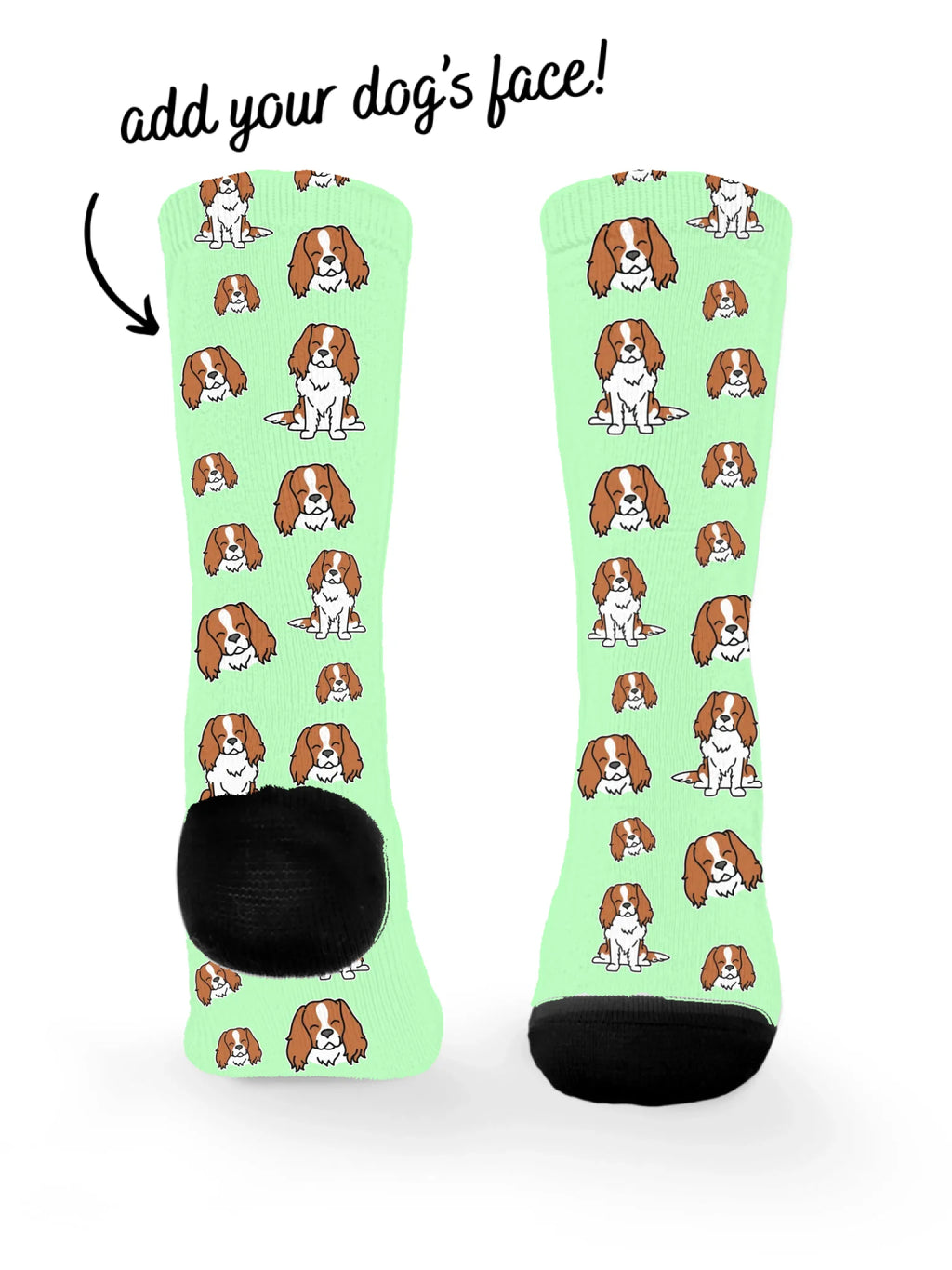 blank-dress-sock-TIB-base