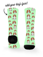 blank-dress-sock-TIB-base