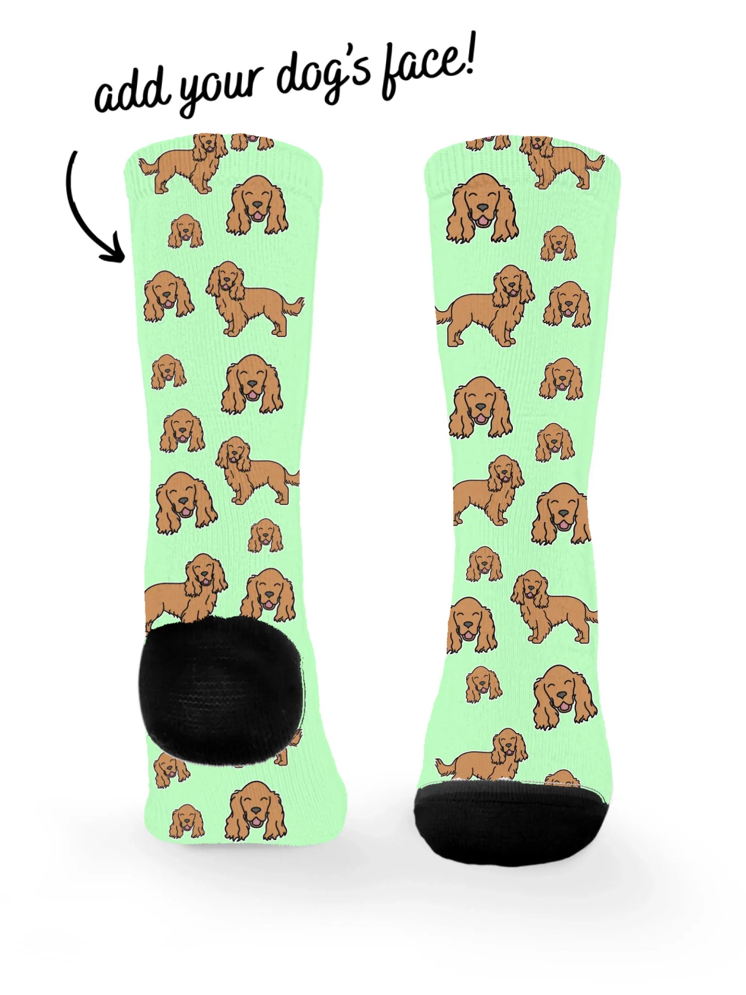 blank-dress-sock-TIB-base