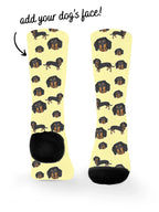 blank-dress-sock-TIB-base