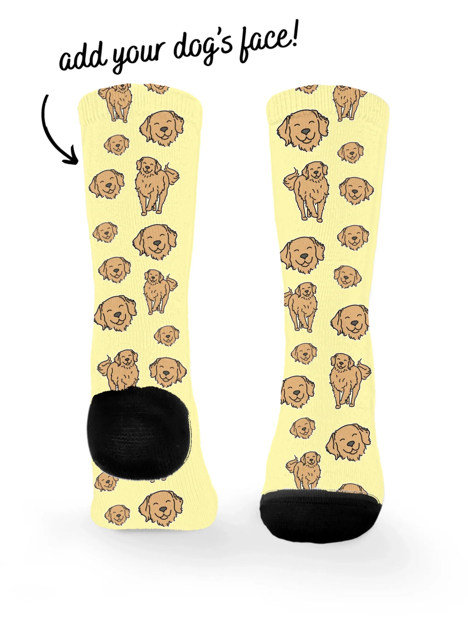 Golden Retriever ColourPop Customisable Socks – Furriends
