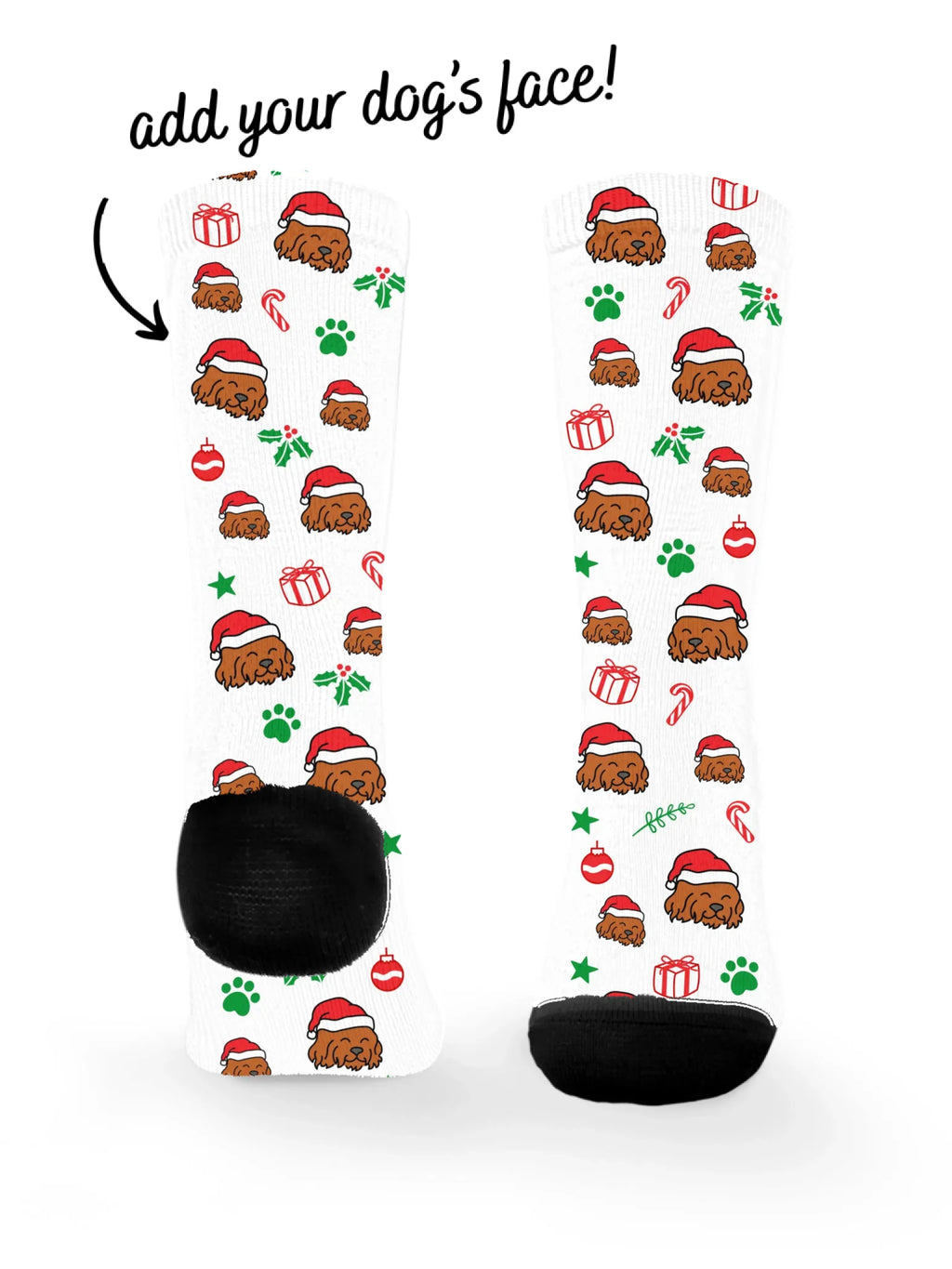 blank-dress-sock-TIB-base