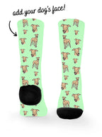 blank-dress-sock-TIB-base