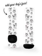 blank-dress-sock-TIB-base