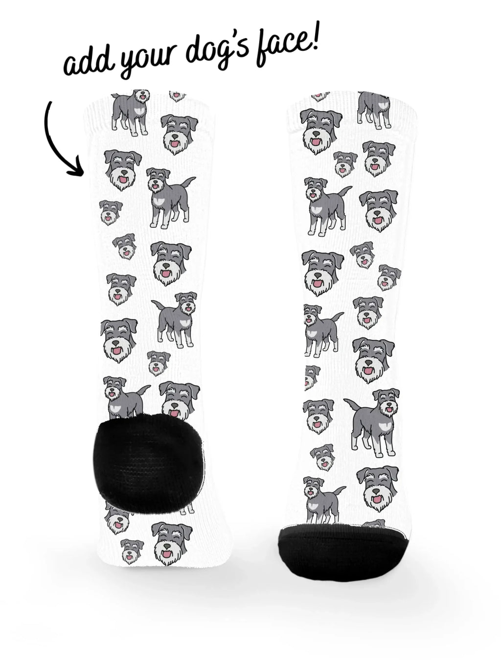 blank-dress-sock-TIB-base