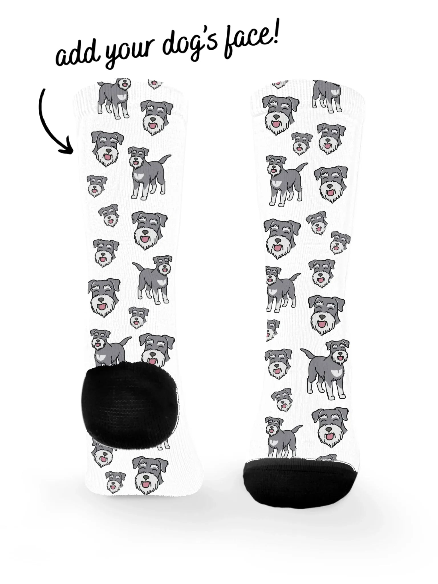 blank-dress-sock-TIB-base