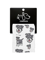 blank-dress-sock-TIB-packaged