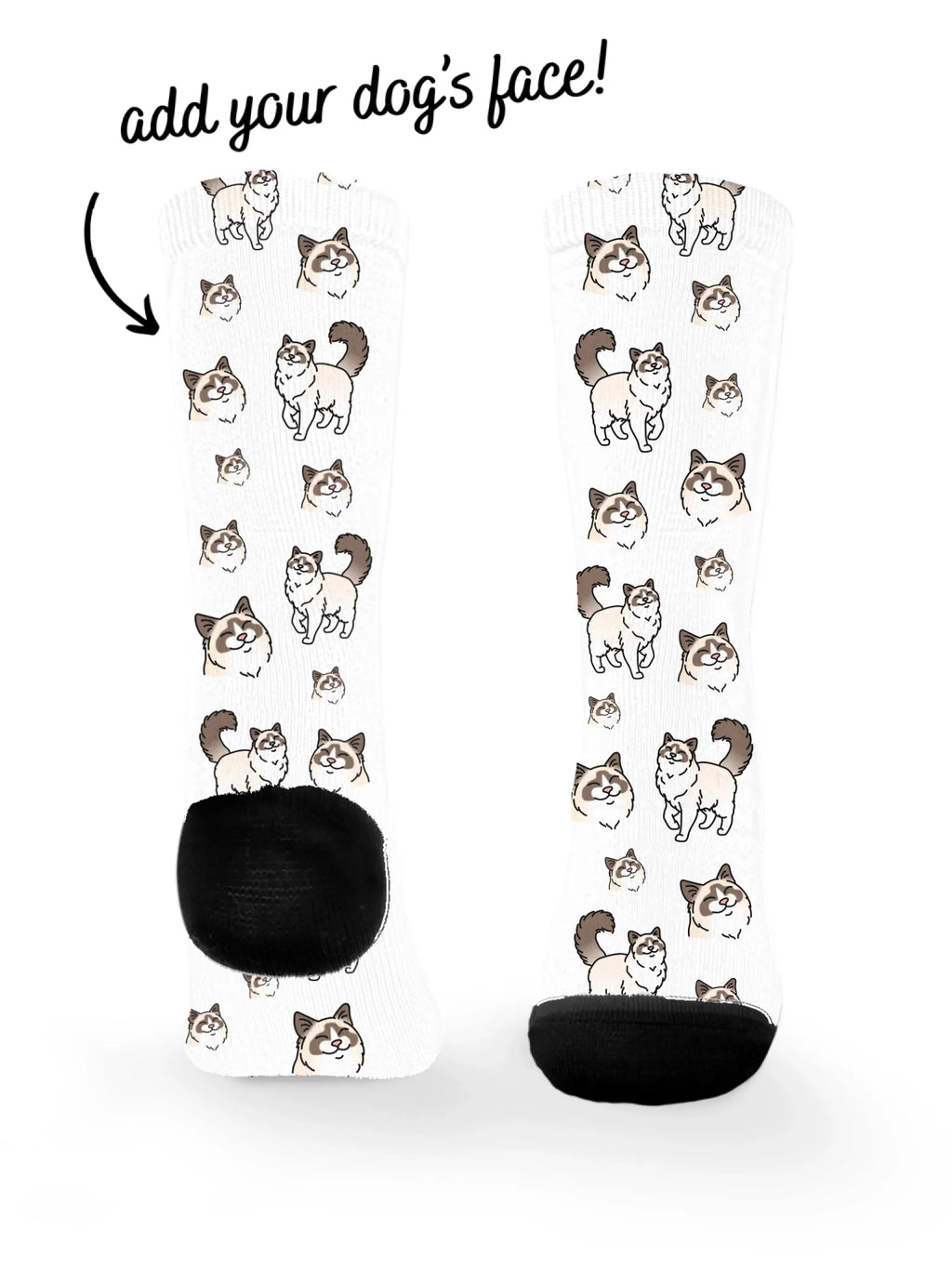 blank-dress-sock-TIB-base