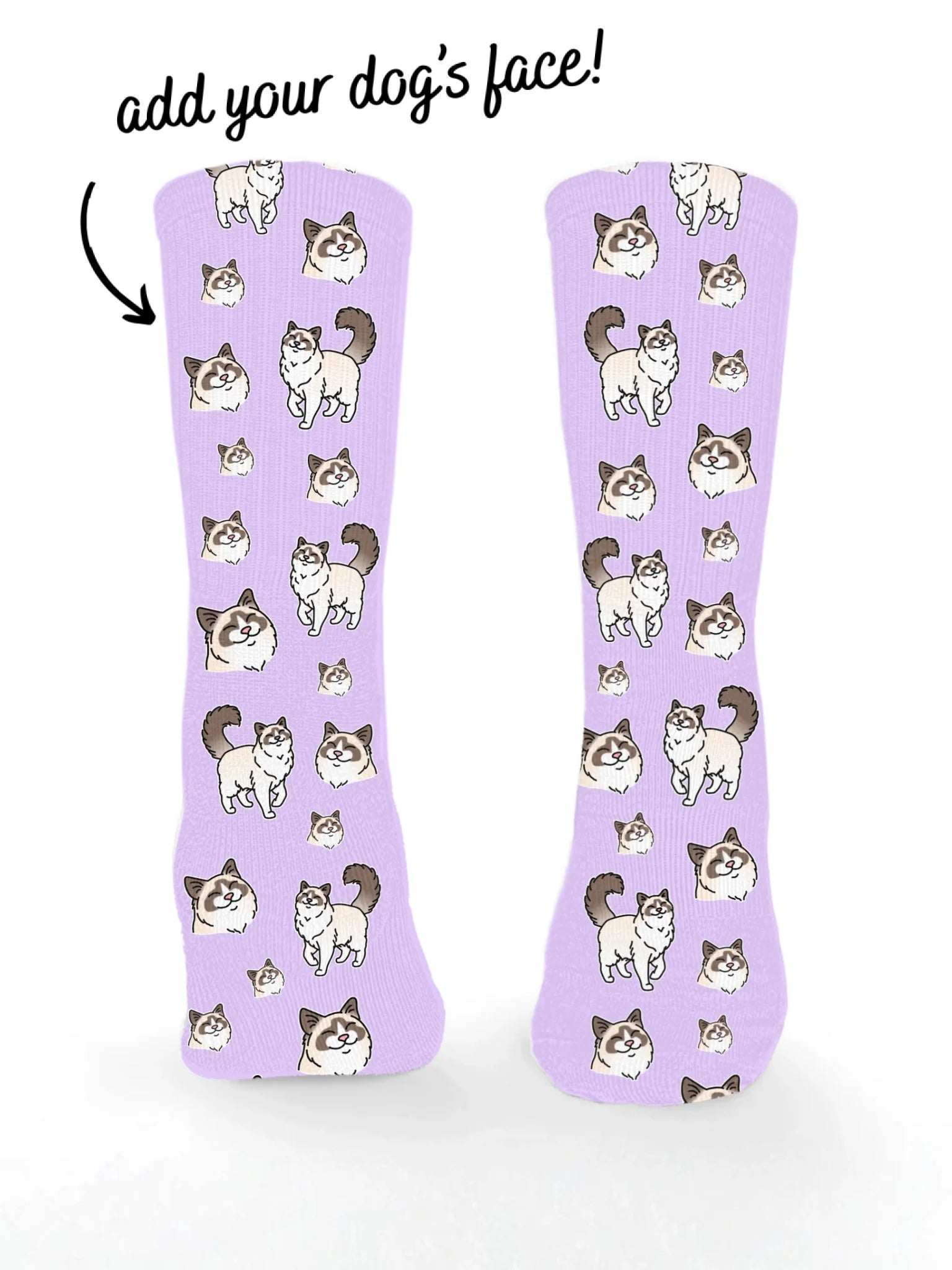 Ragdoll ColourPop Customisable Socks