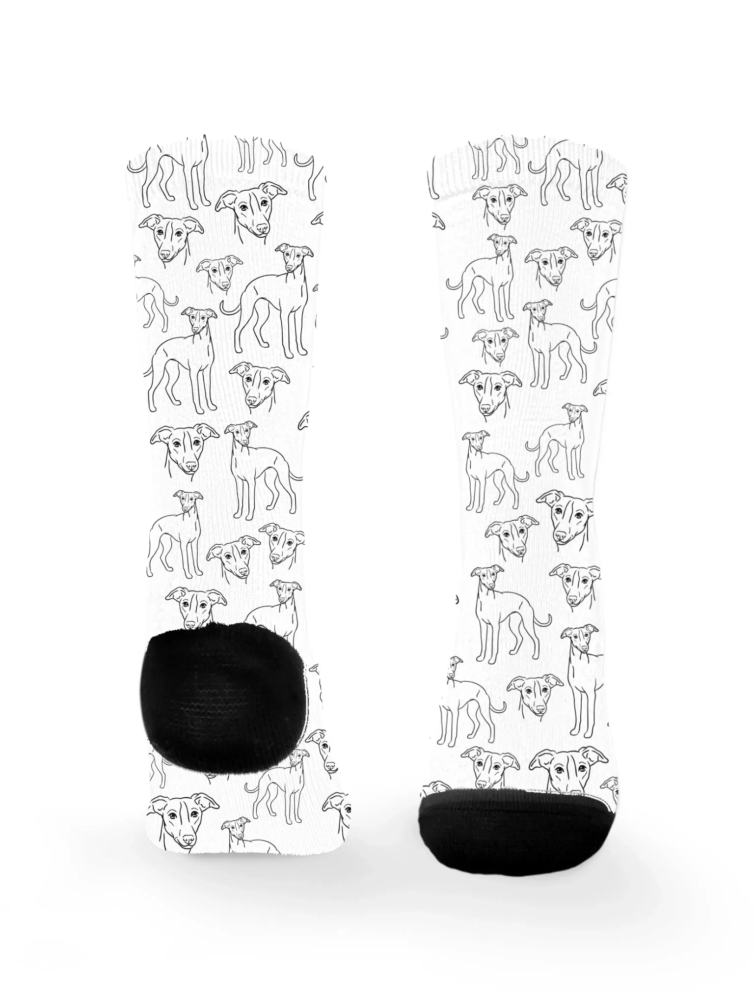 blank-dress-sock-TIB-base