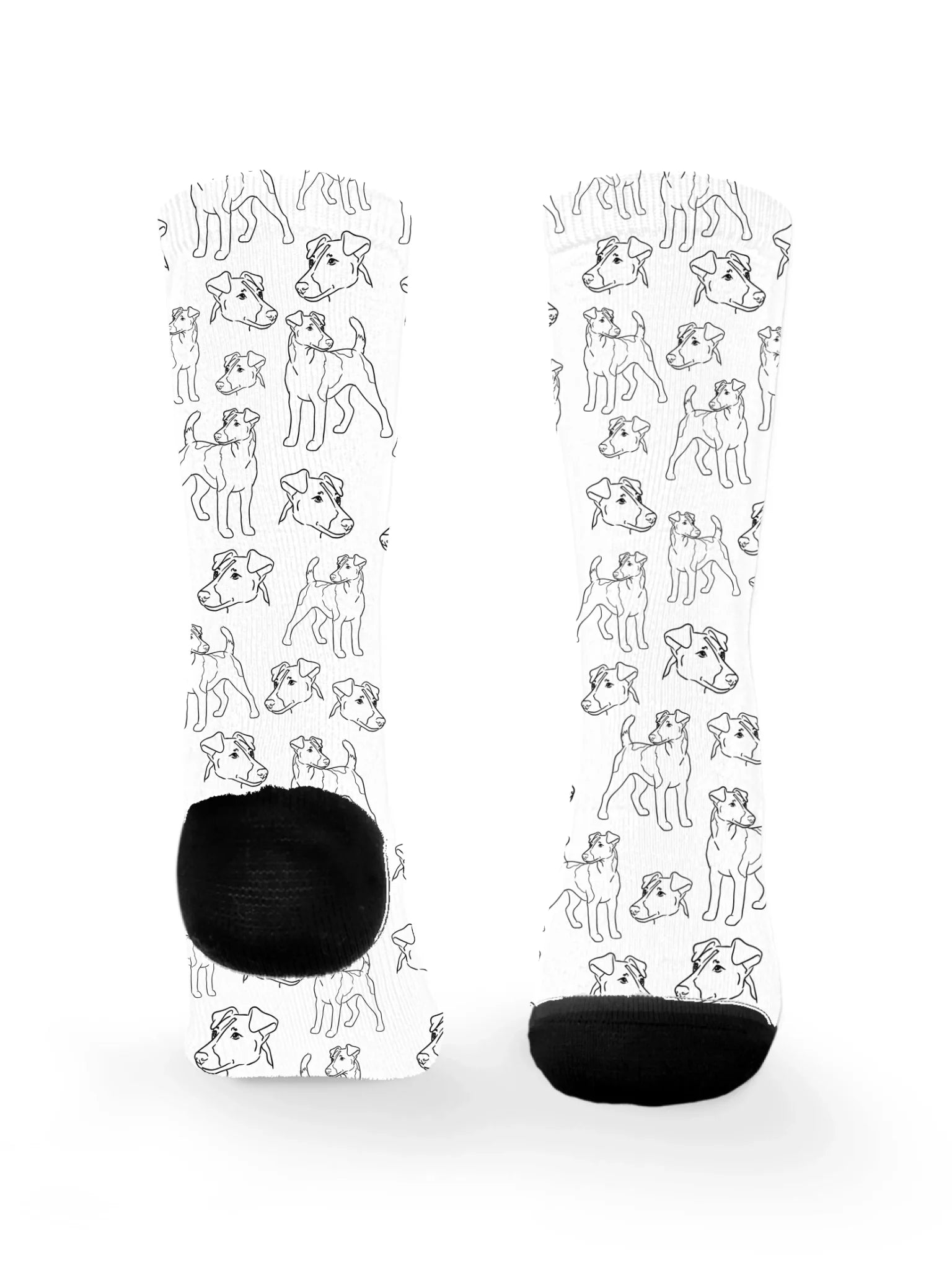 blank-dress-sock-TIB-base