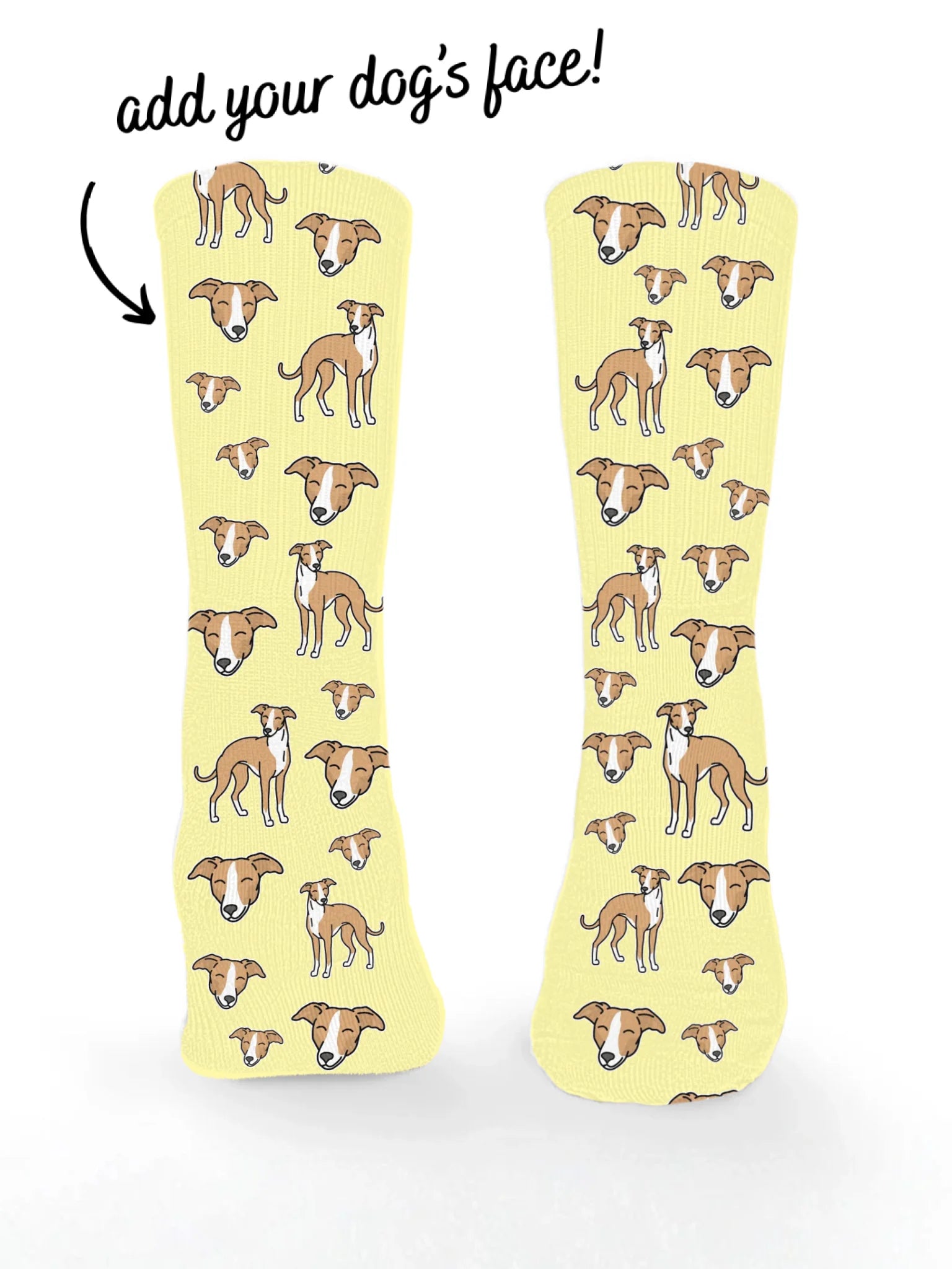 Whippet ColourPop Customisable Socks