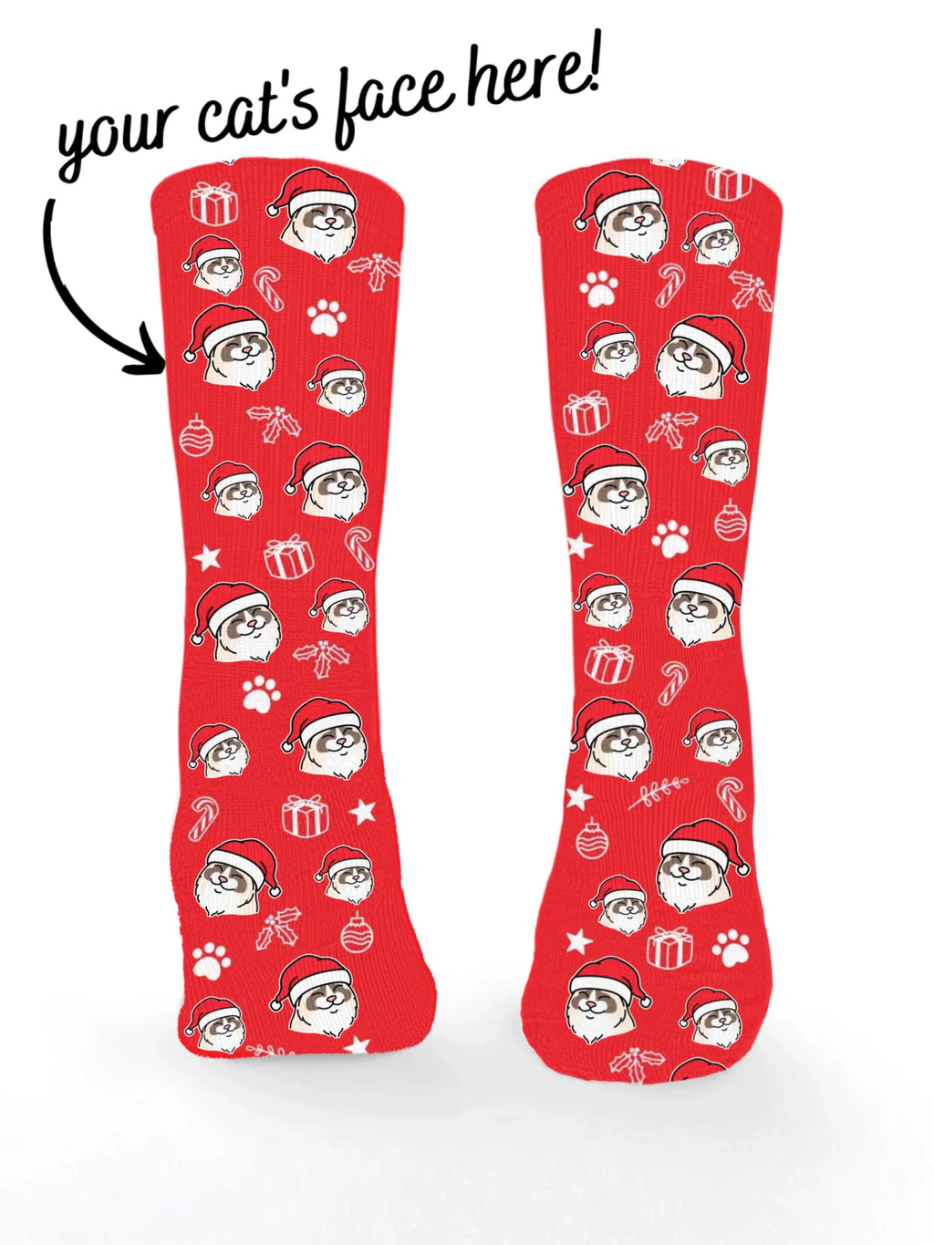 Ragdoll ColourPop Christmas Edition Socks