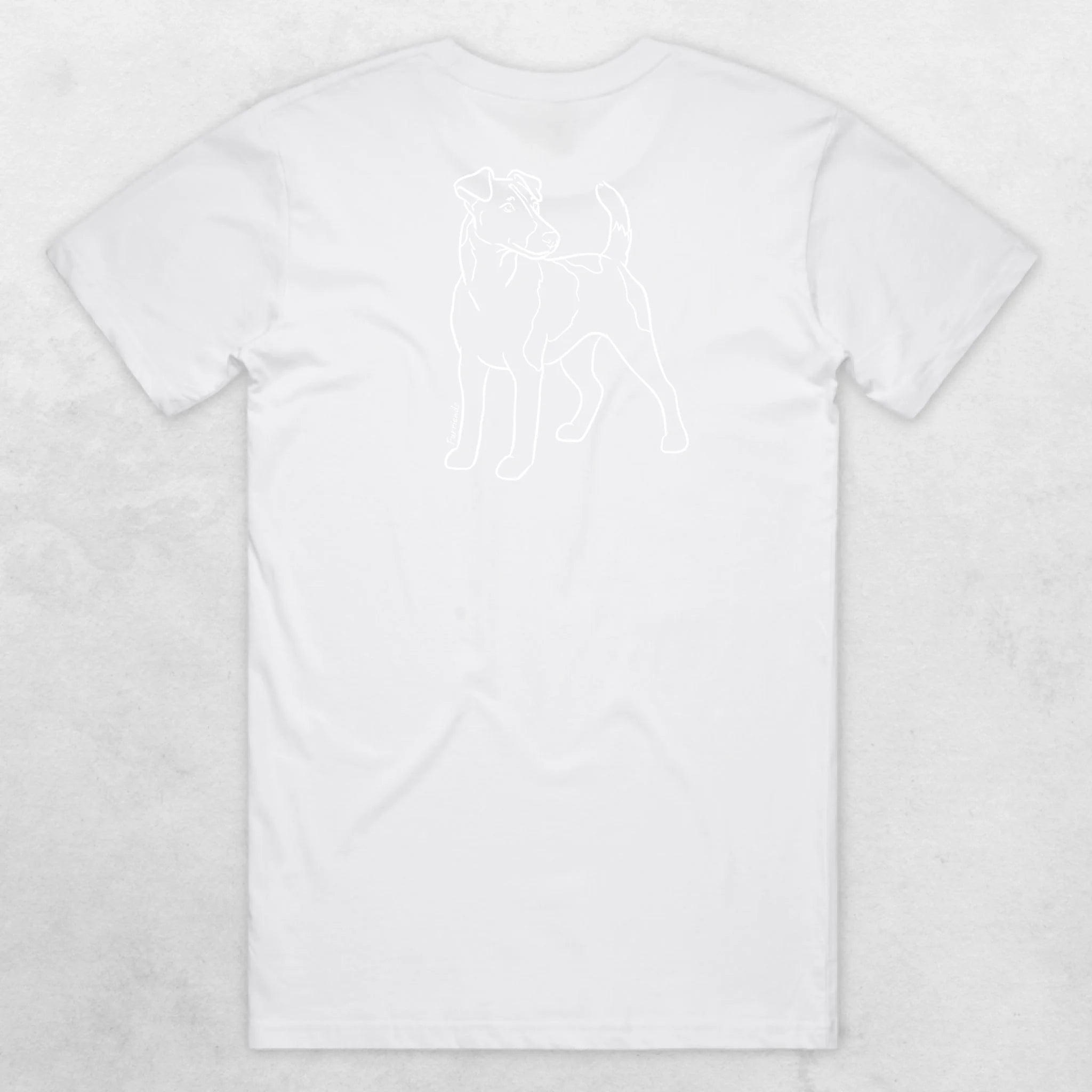 TIB-Essential-Background-White-Back