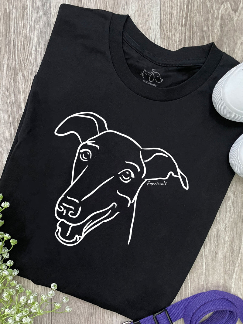 Greyhound