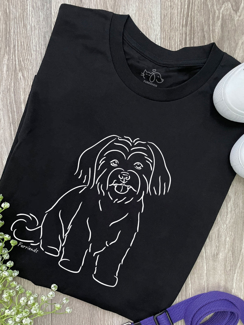Maltese Terrier
