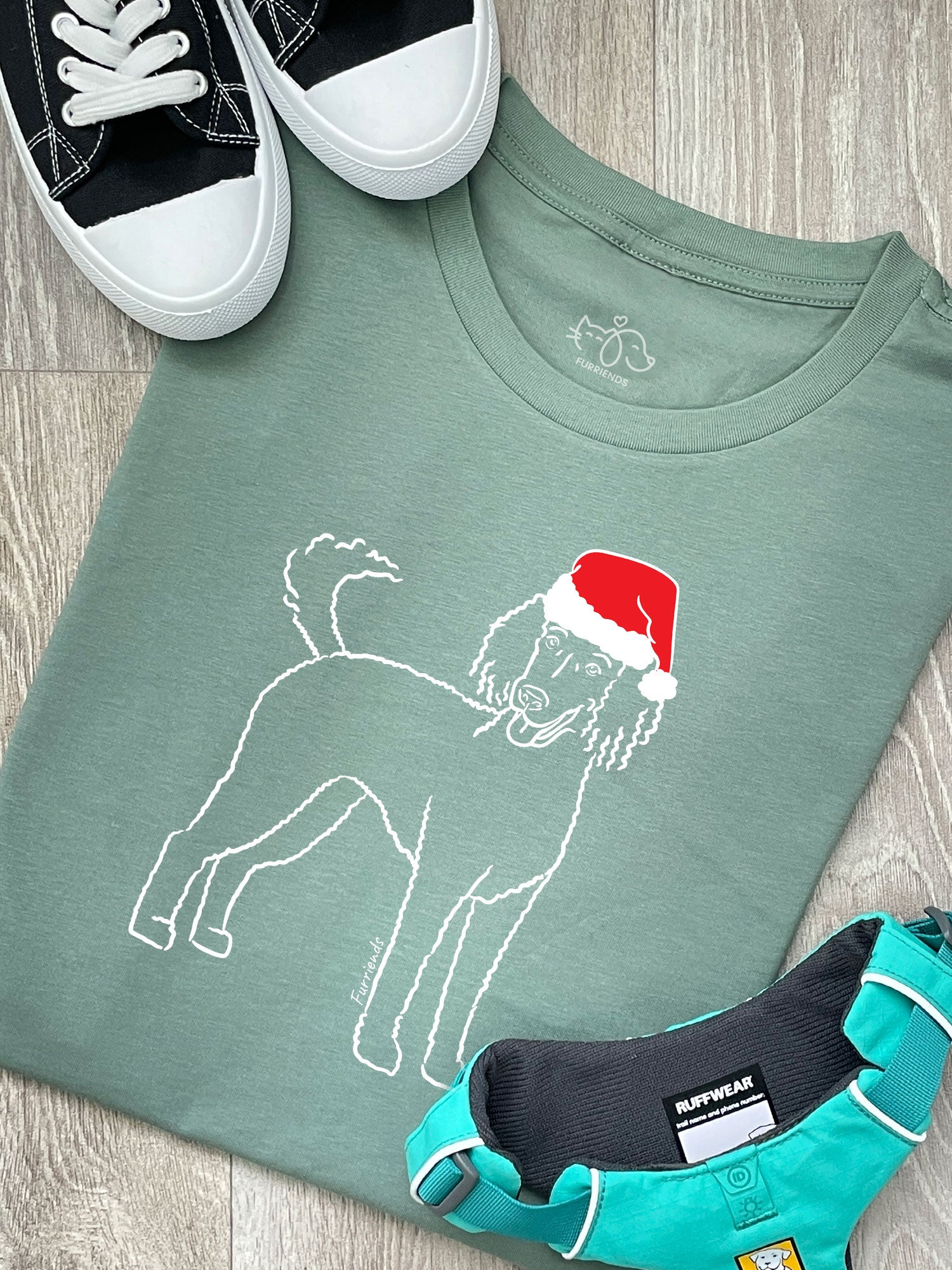 Standard Poodle