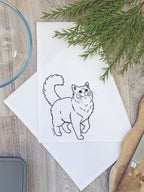 Ragdoll Tea Towel
