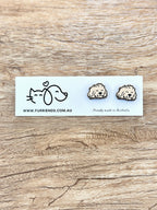 Cavoodle ColourPop Stud Earrings