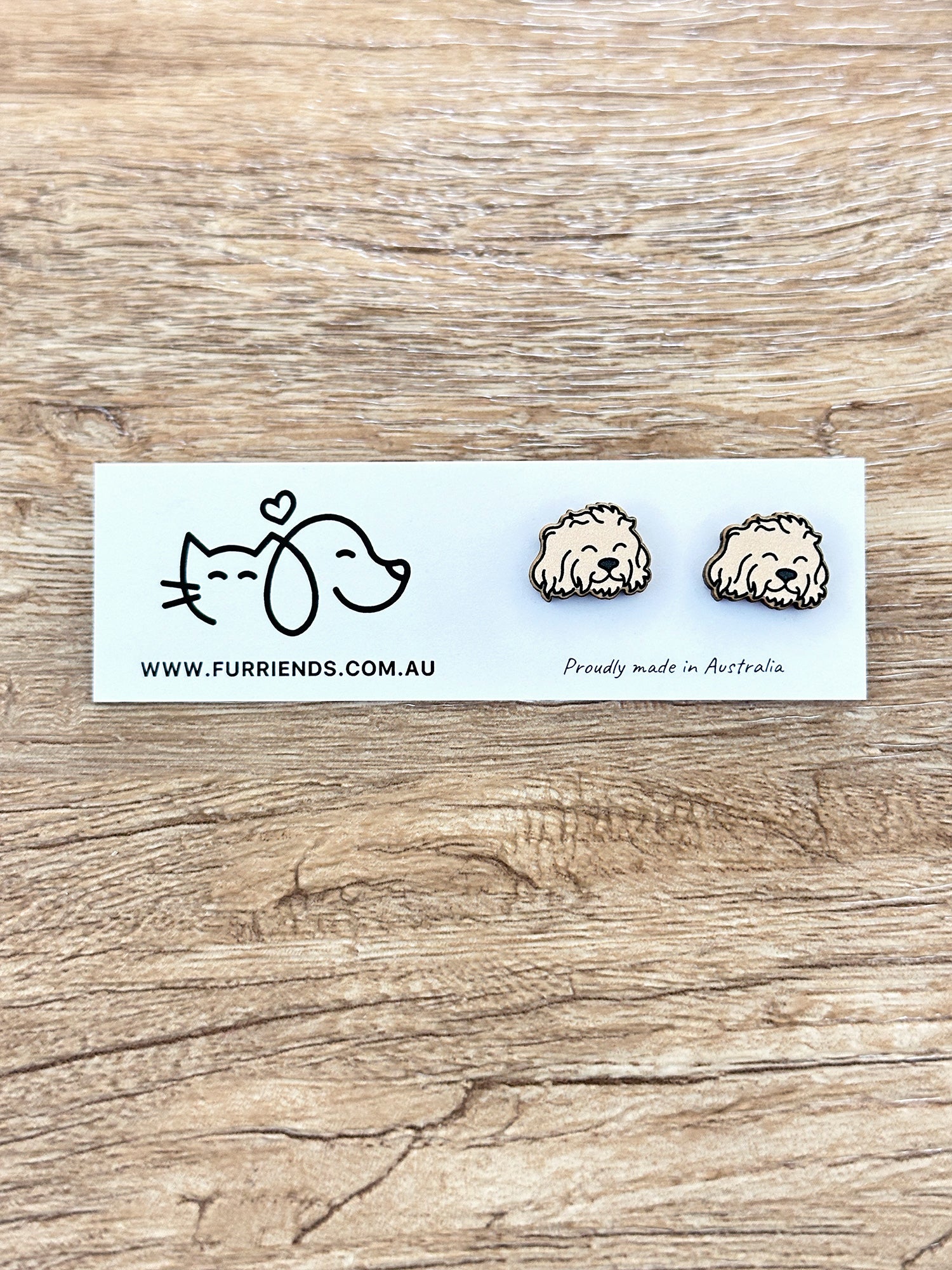 Cavoodle ColourPop Stud Earrings