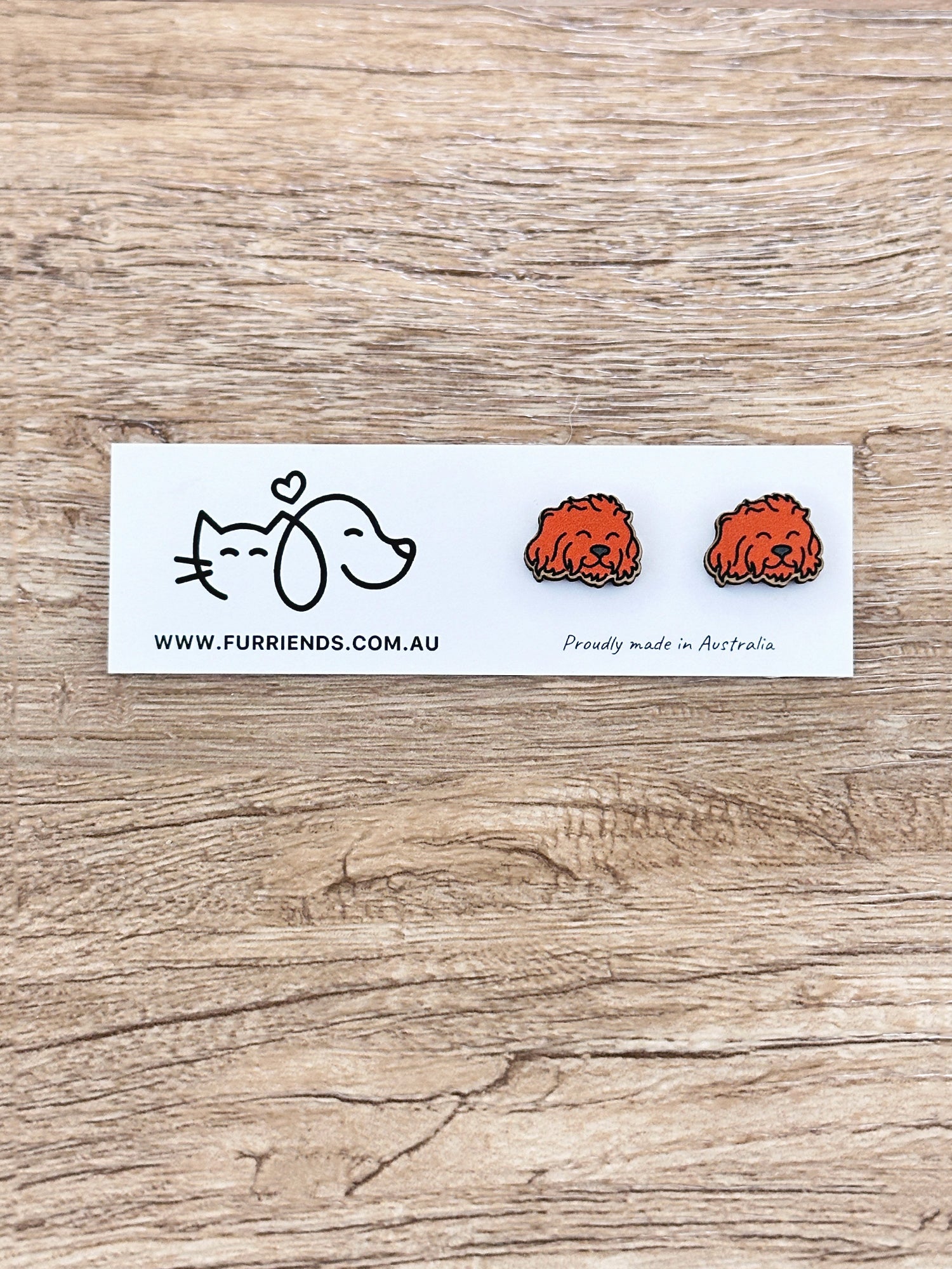 Cavoodle ColourPop Stud Earrings