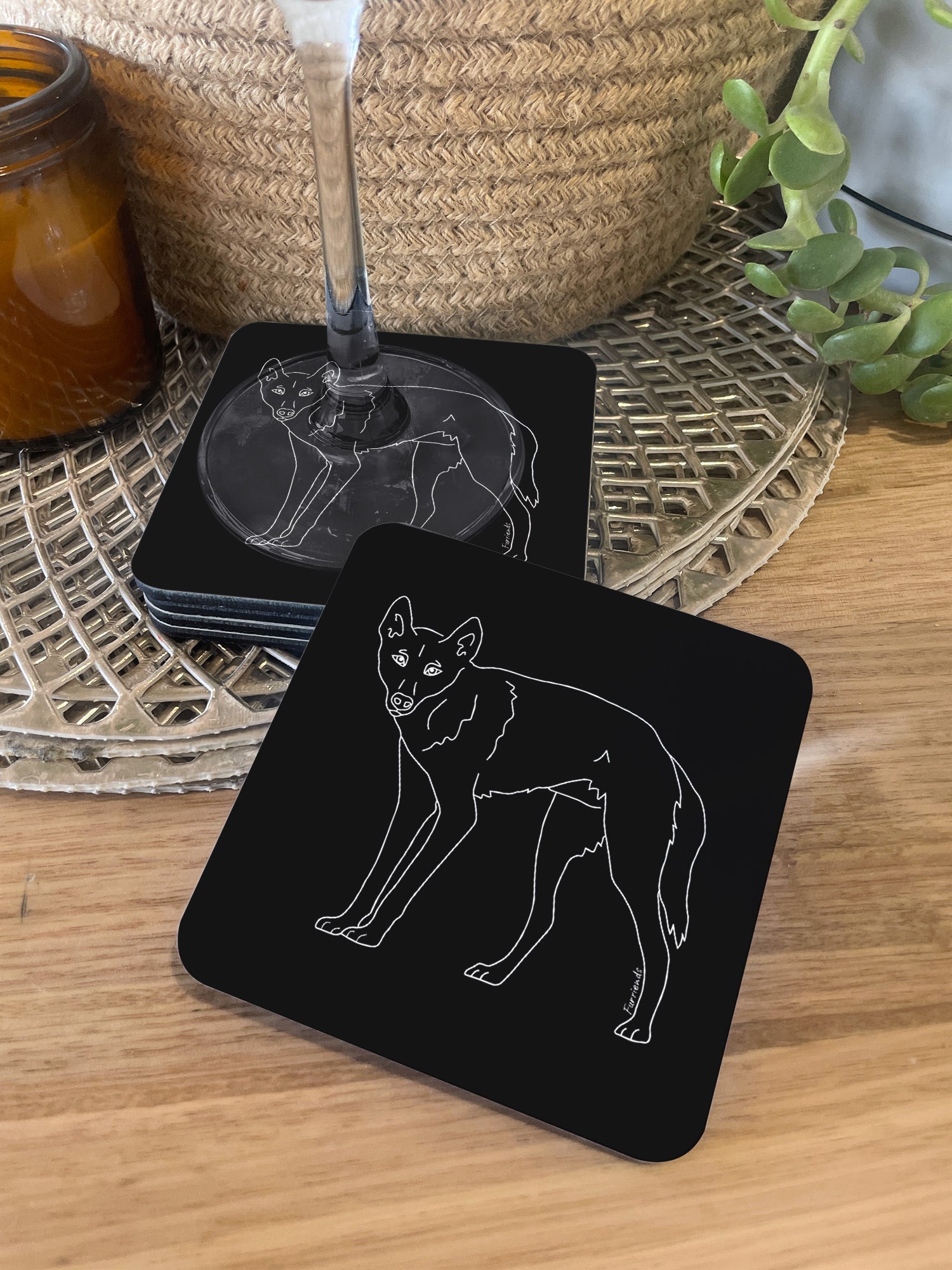 Dingo Coaster